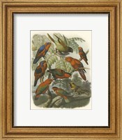 Red Cassel Birds II Fine Art Print