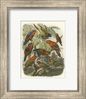 Red Cassel Birds II Fine Art Print
