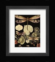 Whimsical Dragonfly on Black II Framed Print