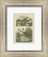 Exotic Birds III Fine Art Print