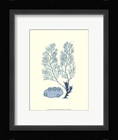 Shades of Aqua II Framed Print