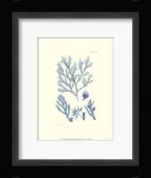 Shades of Aqua IV Framed Print