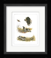 Cocker Spaniel Fine Art Print