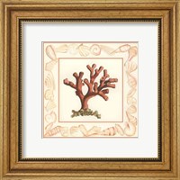 Coral with Shell Border I Fine Art Print