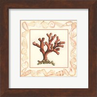 Coral with Shell Border I Fine Art Print