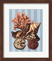 Shell and Coral on Aqua I Fine Art Print