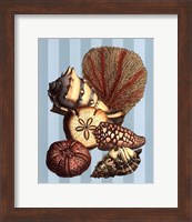 Shell and Coral on Aqua II Fine Art Print