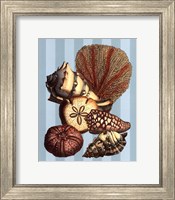 Shell and Coral on Aqua II Fine Art Print