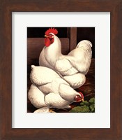 Cassell's Roosters I Fine Art Print
