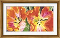Two Parrot Tulips Giclee