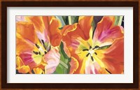 Two Parrot Tulips Giclee