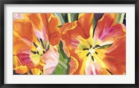 Two Parrot Tulips Giclee