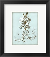 Lilium on Blue Giclee