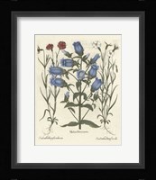 Floral IV Giclee