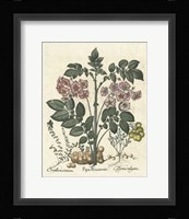 Floral V Giclee