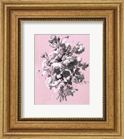 Roses on Pink Giclee