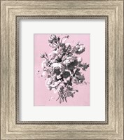 Roses on Pink Giclee