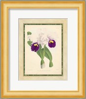 Orchid I Giclee