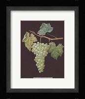 White Grapes Framed Print