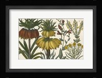 Botanical I Giclee