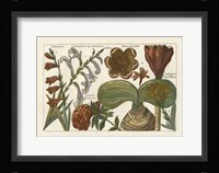 Botanical II Giclee