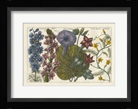 Botanical IV Giclee