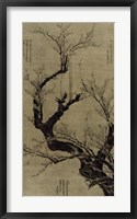 Plum Blossom Tree Giclee