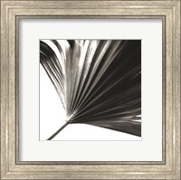 Black and White Palm II Giclee