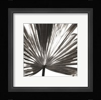 Black and White Palm III Giclee