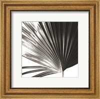 Black and White Palm IV Giclee