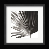 Black and White Palm IV Framed Print
