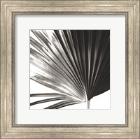 Black and White Palm IV Giclee
