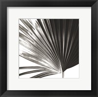 Black and White Palm IV Framed Print