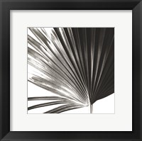 Black and White Palm IV Giclee