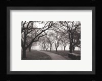 Foggy Morning Walk Giclee