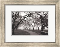 Foggy Morning Walk Giclee