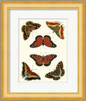 Butterflies I Giclee