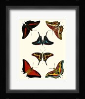 Butterflies II Giclee