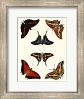 Butterflies II Giclee