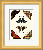 Butterflies II Giclee