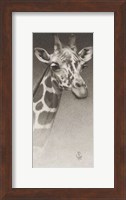 Jean, The Giraffe Giclee