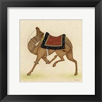Camel from India I Giclee