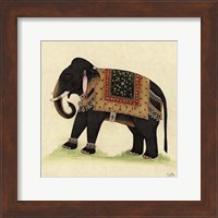 Elephant from India II Giclee