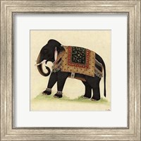 Elephant from India II Giclee