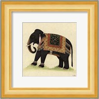 Elephant from India II Giclee