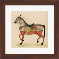 Horse from India I Giclee