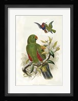 Parrots I Giclee