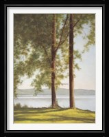 Sunlit Trees II Fine Art Print