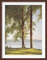 Sunlit Trees II Fine Art Print