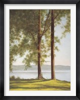 Sunlit Trees II Fine Art Print
